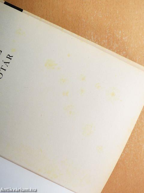 Magyar-angol kéziszótár