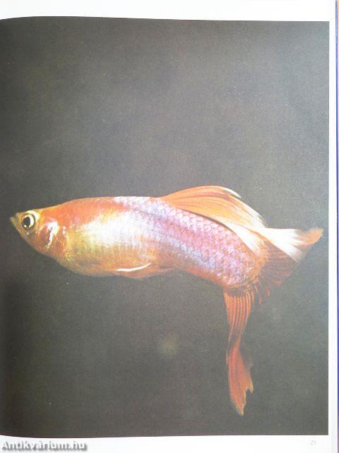 Complete Book of Tropical Fish