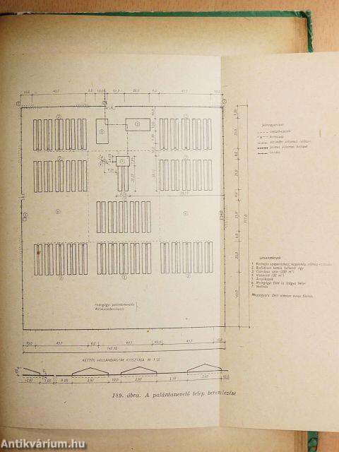 Kertészeti alapismeretek