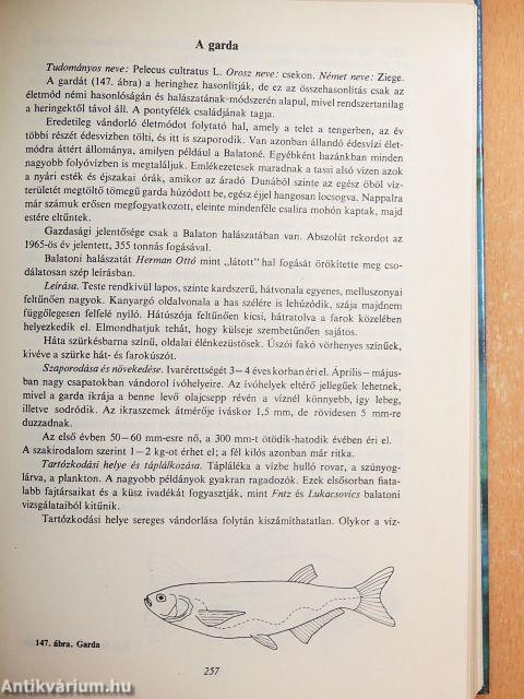 Horgászok kézikönyve