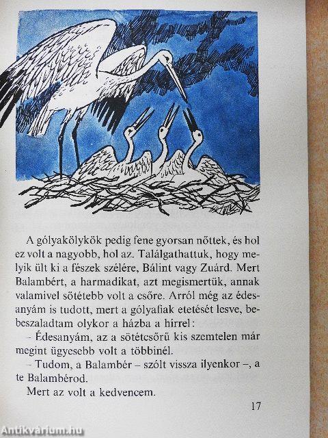 Volt egy gólyám