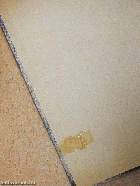 Kaland a Szamócában