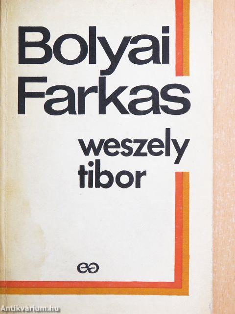 Bolyai Farkas a matematikus