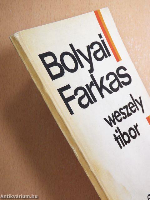 Bolyai Farkas a matematikus