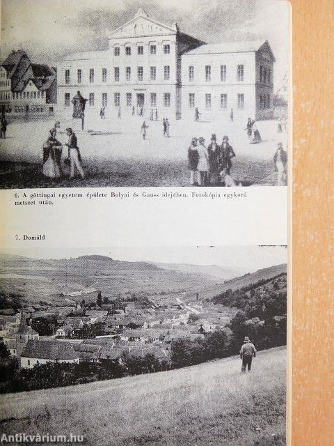 Bolyai Farkas a matematikus