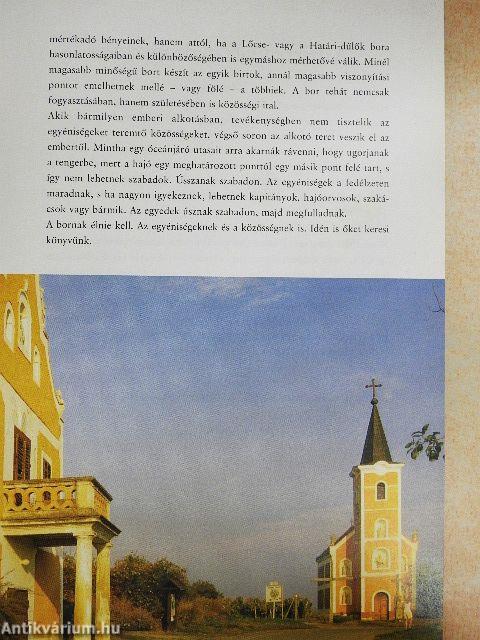 Borbarátok 7x7