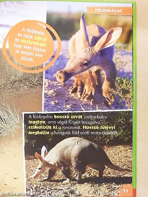 Disney Állati Szafari 57.