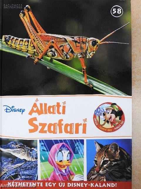 Disney Állati Szafari 58.