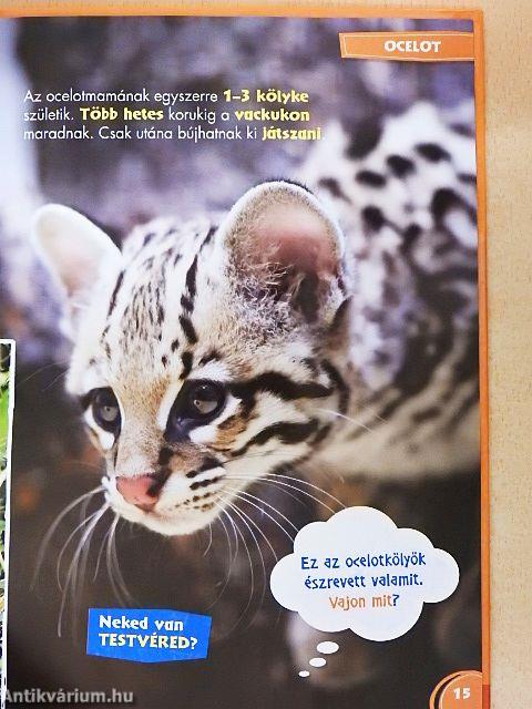 Disney Állati Szafari 58.