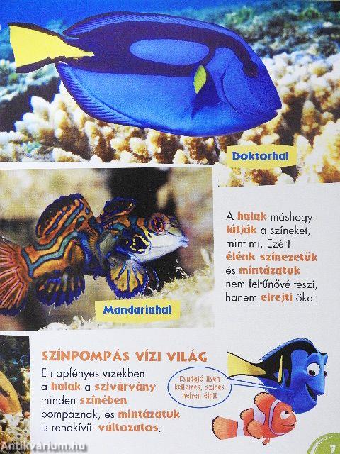 Disney Állati Szafari 59.