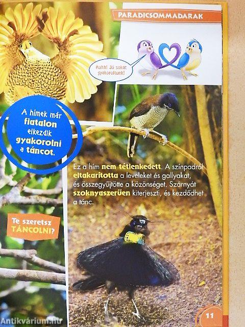 Disney Állati Szafari 60.