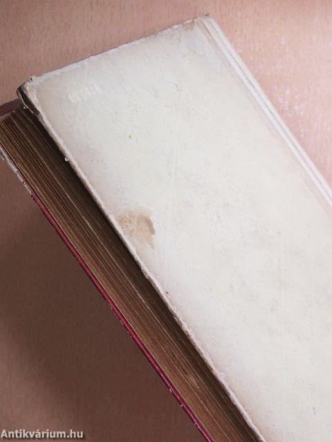 Új világot teremtsünk