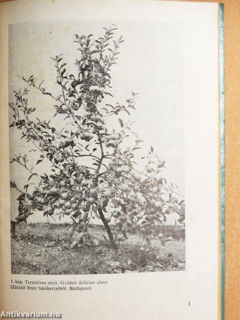 Gyümölcstermesztés házi-háztáji kertekben