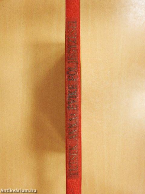 Évike följegyzései II.