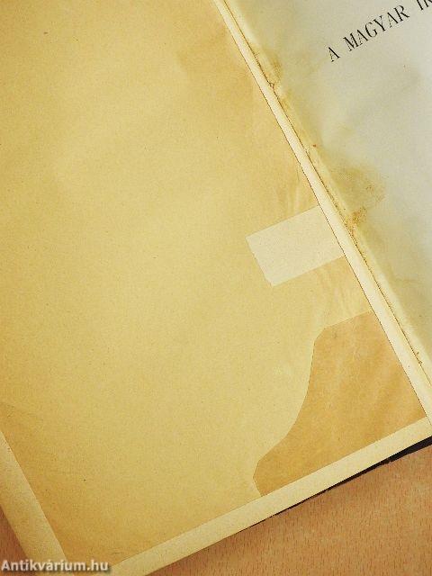 A régi magyar irodalom története