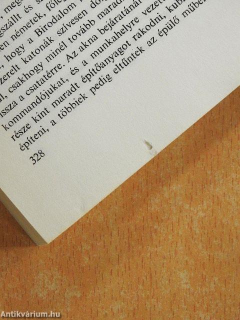 A 290. számú auschwitzi fogoly