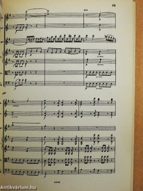 Konzert für Violine und Orchester