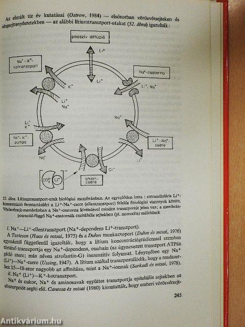 A pszichiátria biológiai alapjai