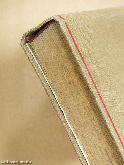 Szűzmáriás királyfi