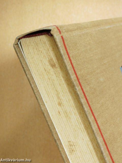 Szűzmáriás királyfi