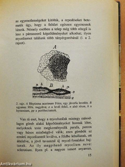 Gombaismertető kézikönyv