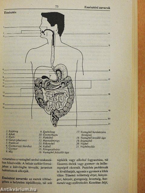 Természetgyógyászati kislexikon