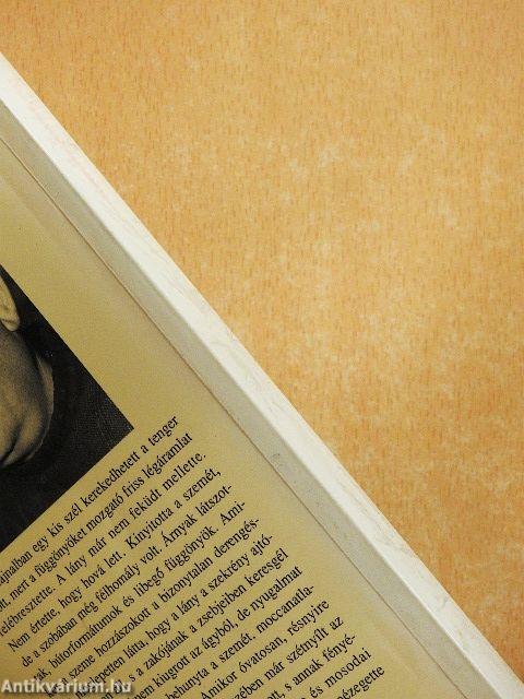 Kémnő a sárkányrepülőtéren