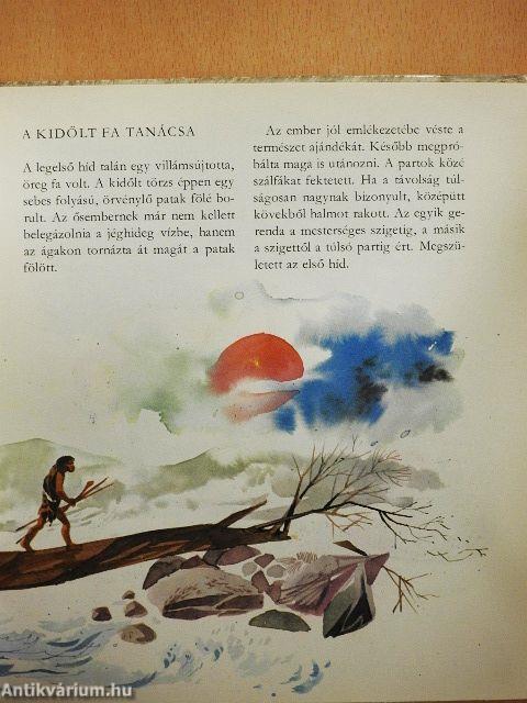 Híd a folyó felett