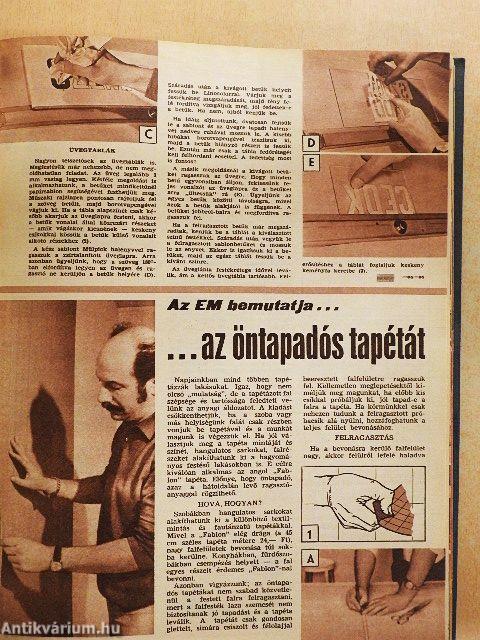 Ezermester 1971. január-december