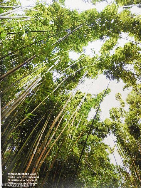 GEO 2015. (nem teljes évfolyam)