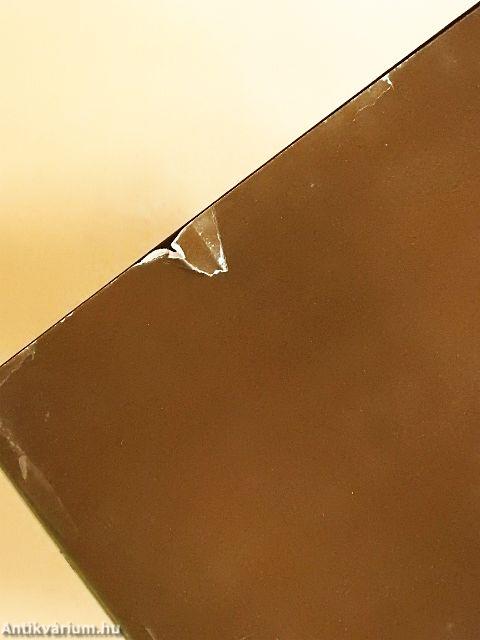 Tolnai Világtörténelme - A legujabb kor története I.