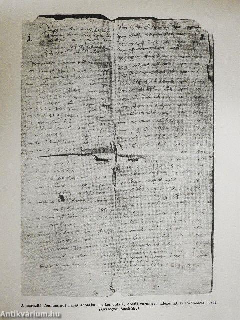 Magyar művelődéstörténet 2.