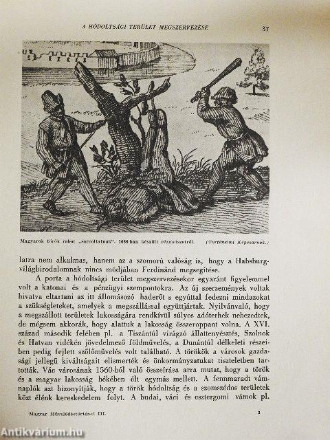 Magyar művelődéstörténet 3.