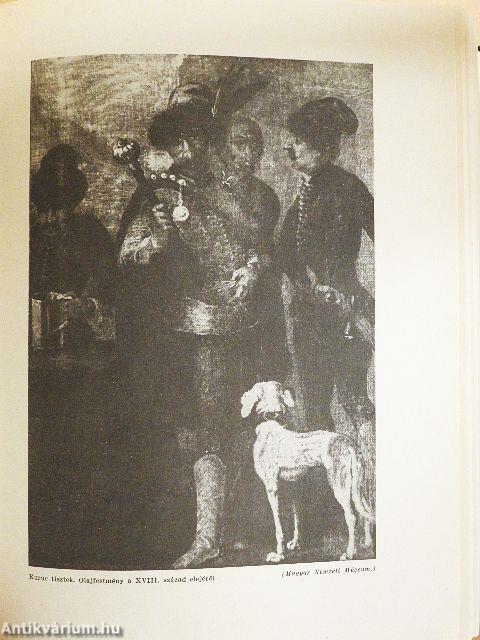 Magyar művelődéstörténet 4.