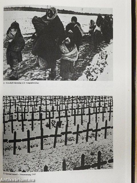 Tolnai Világtörténelme - Mi történt a XX. században?