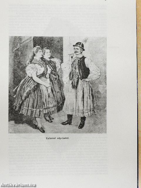 Pest-Pilis-Solt-Kiskun Vármegye I-II.