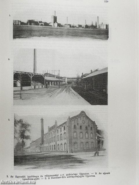 Pest-Pilis-Solt-Kiskun Vármegye I-II.