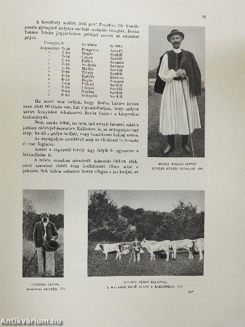 A magyar nép művészete III.