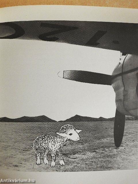 Utazz velünk tevekaravánnal