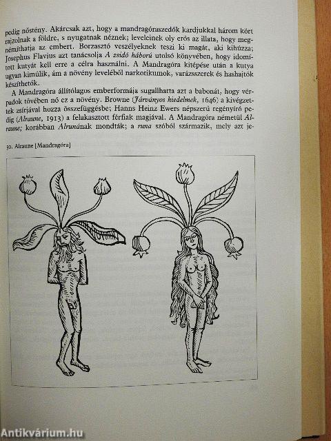 Képzelt lények könyve