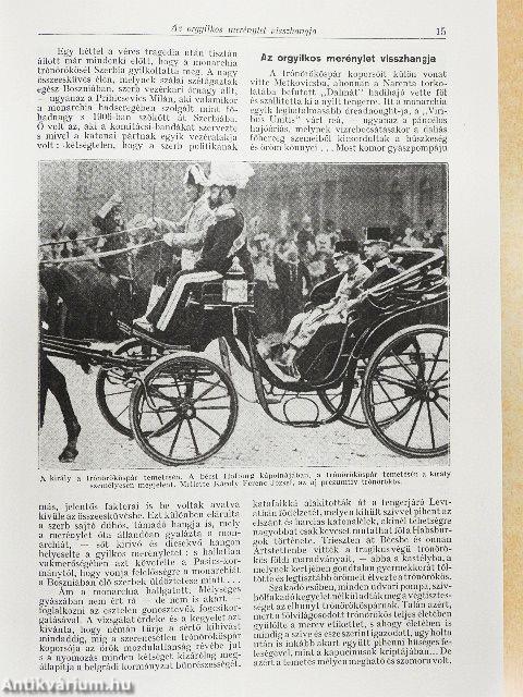 Tolnai Világtörténelme - A világháború története I.