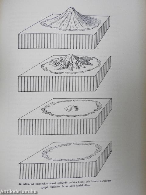 A Föld és élete I-VI.