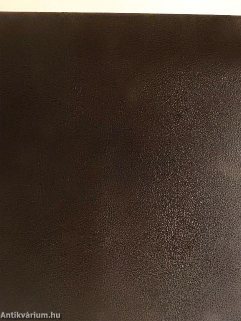 Magyar művelődéstörténet 3.