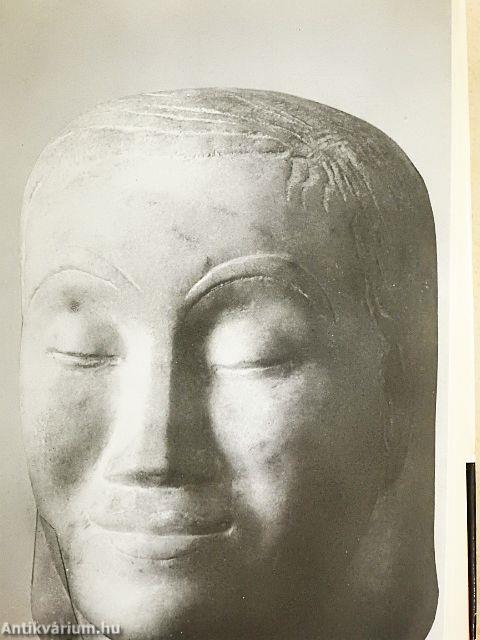 Visszanéztem félutamból