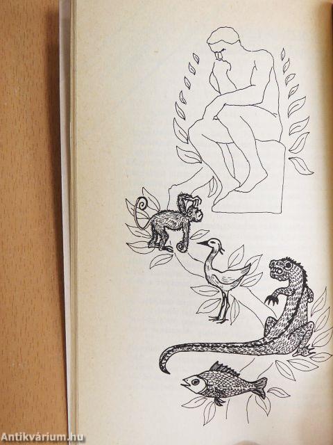 A szociológiáról - alapfokon