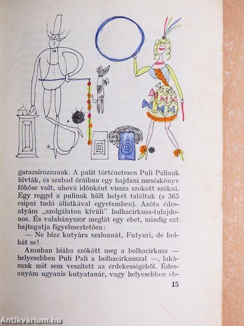 Futyuri mint detektív