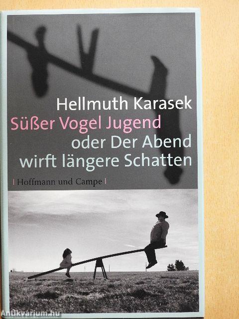 Süßer Vogel Jugend oder Der Abend wirft längere Schatten