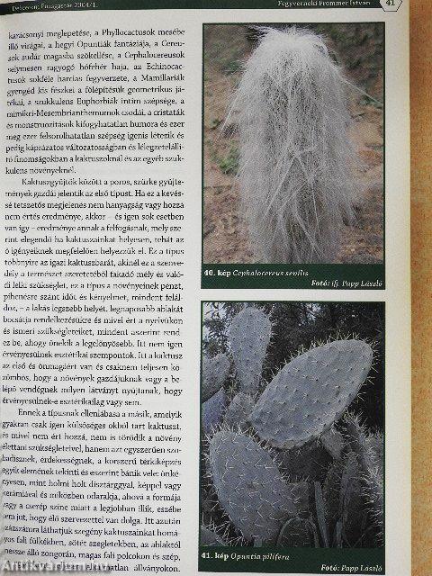 Debreceni Pozsgástár 2004/1-4.