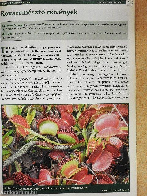 Debreceni Pozsgástár 2004/1-4.