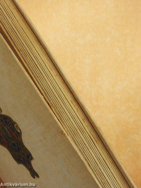 Keresztül-kasul Marokkón